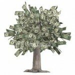 money tree