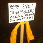 bye bye sunflowers